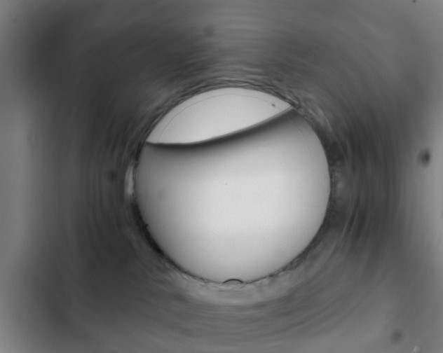 X0000103220042200808280936