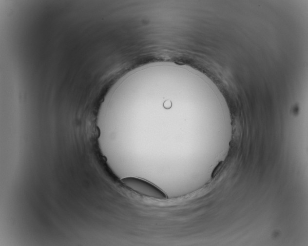 X0000103220043200808280936