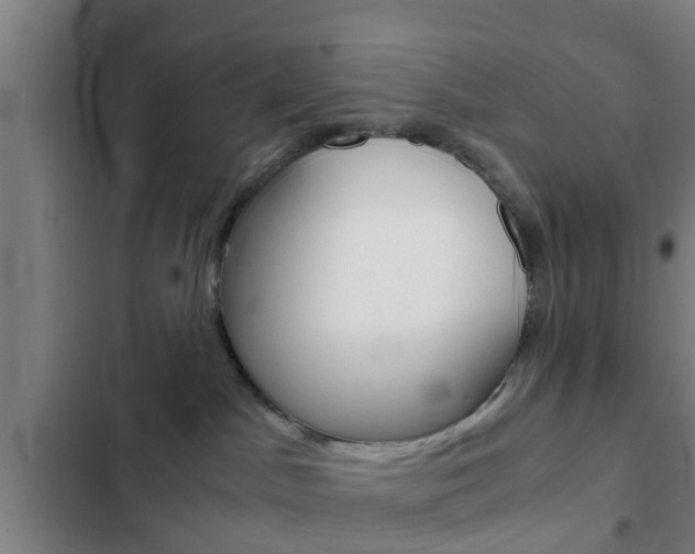 X0000103220045200808280936