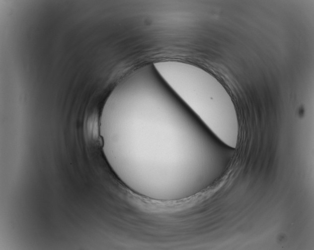 X0000103220046200808280936