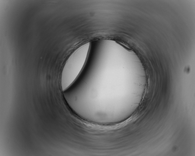 X0000103220048200808280936