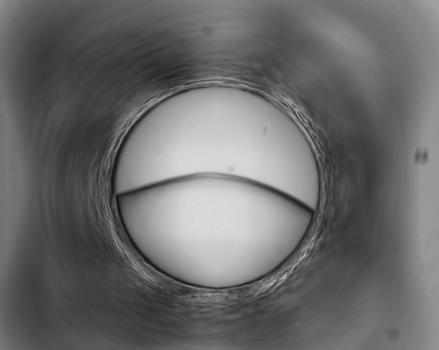 X0000103220049200808280935
