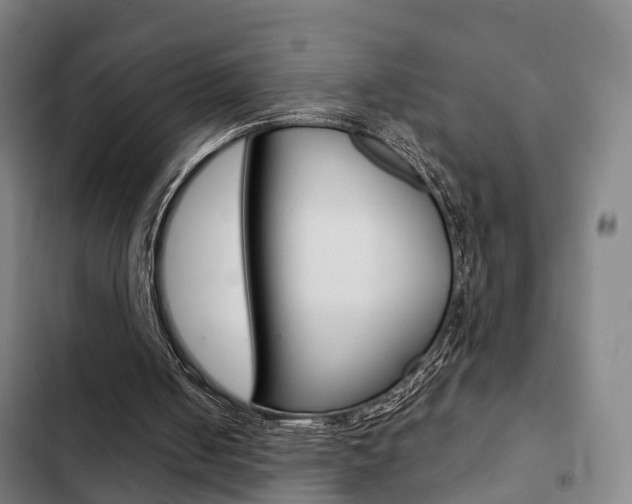 X0000103220050200808280935