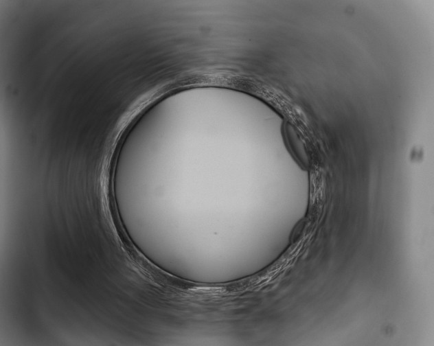 X0000103220051200808280935