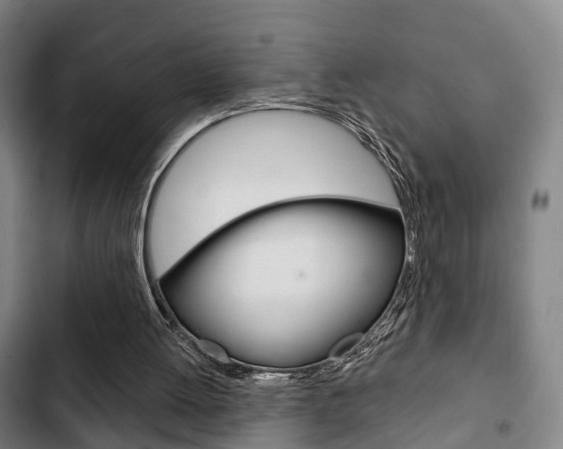 X0000103220052200808280935