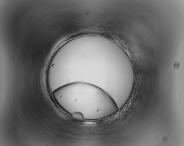X0000103220053200808280935