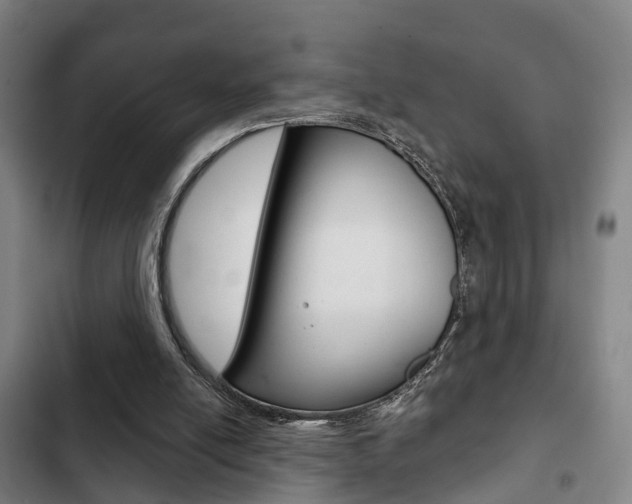 X0000103220054200808280935
