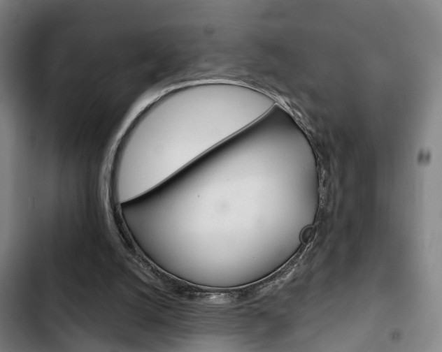 X0000103220056200808280935