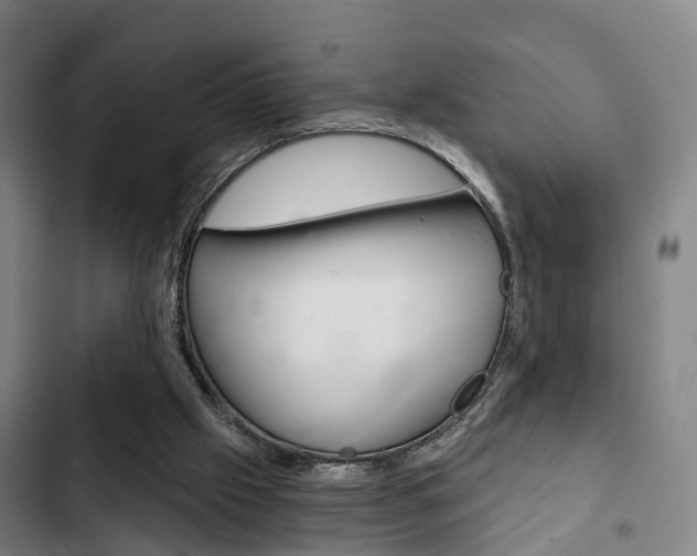 X0000103220057200808280935