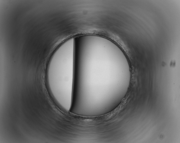 X0000103220058200808280935