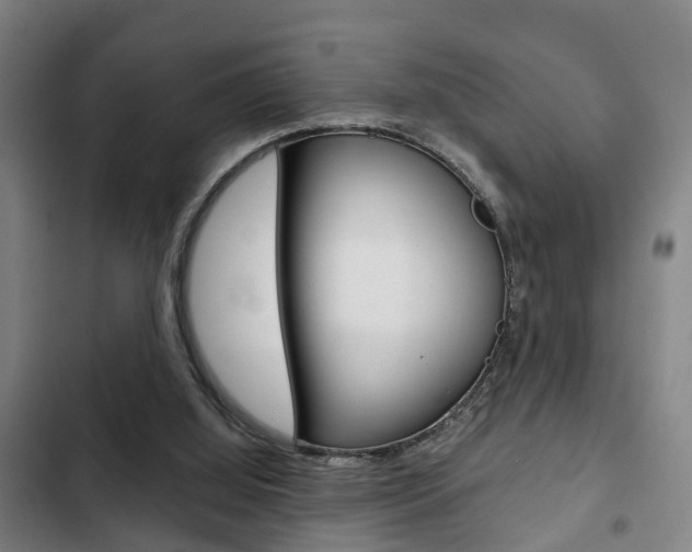 X0000103220060200808280935