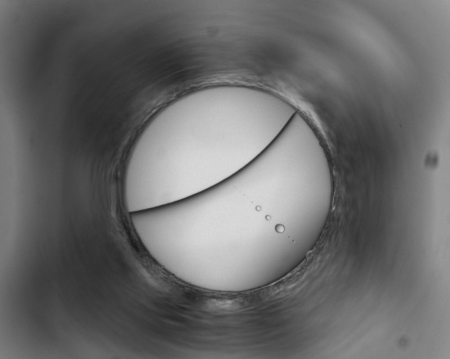 X0000103220061200808280935