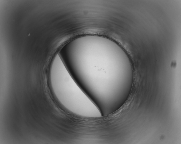 X0000103220062200808280935