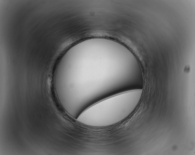 X0000103220063200808280935