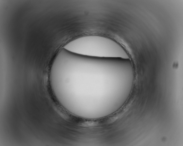 X0000103220065200808280936