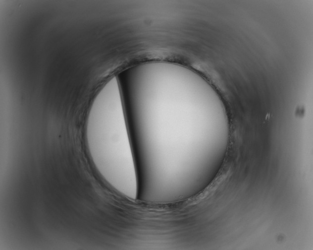X0000103220066200808280936