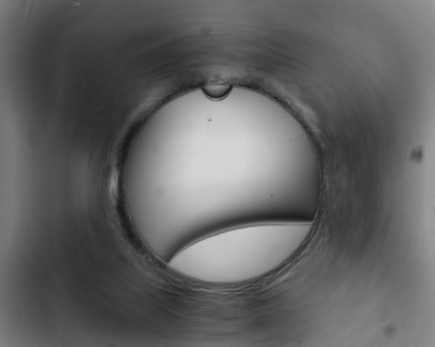 X0000103220067200808280936