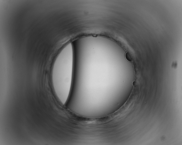 X0000103220068200808280936