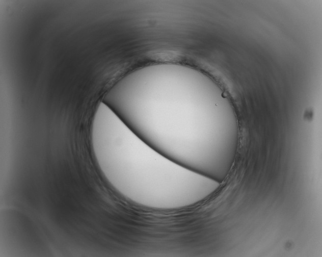 X0000103220069200808280936