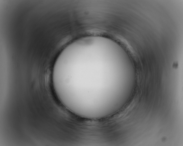 X0000103220071200808280936