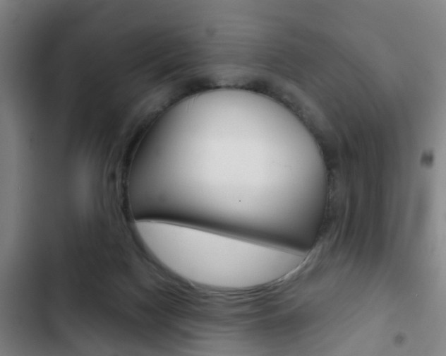 X0000103220074200808280936