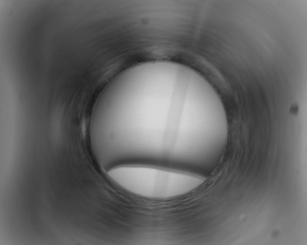X0000103220075200808280936