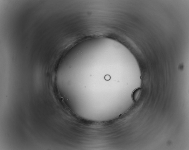 X0000103220076200808280936