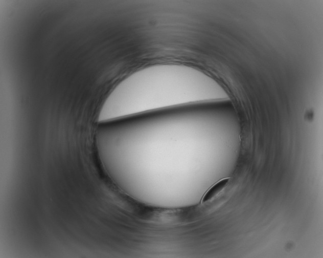 X0000103220078200808280936
