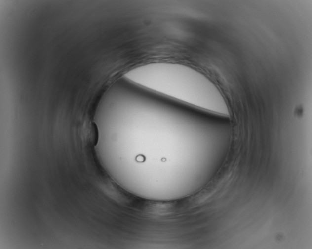 X0000103220081200808280936