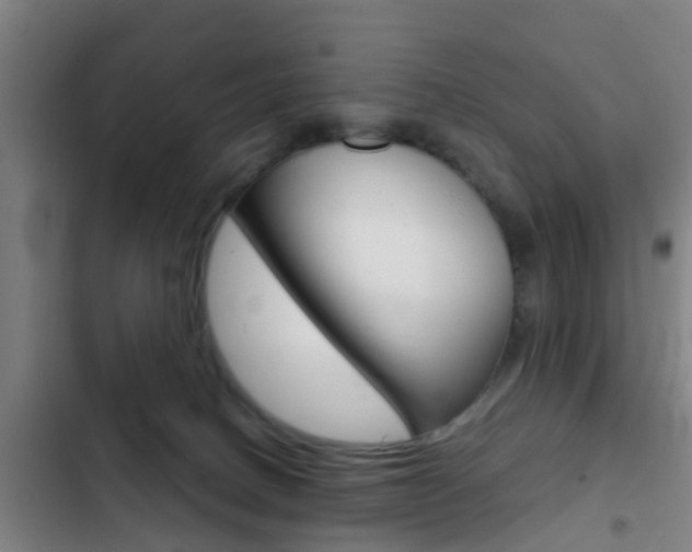 X0000103220082200808280936