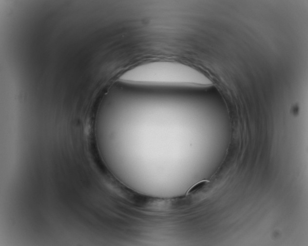 X0000103220084200808280936