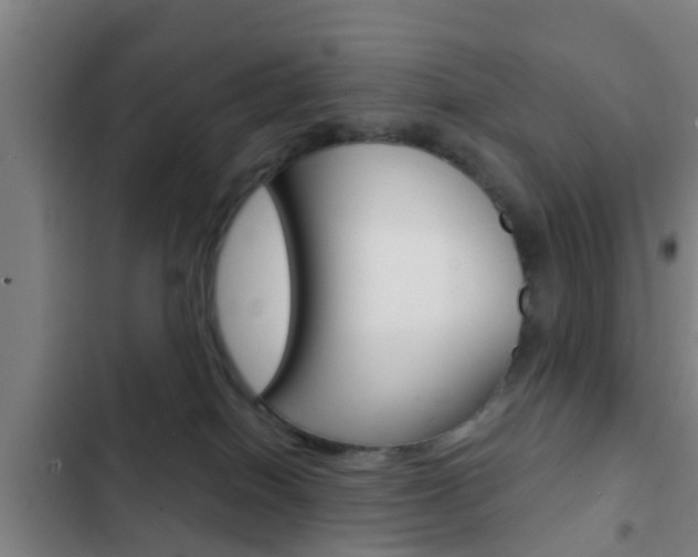 X0000103220086200808280936