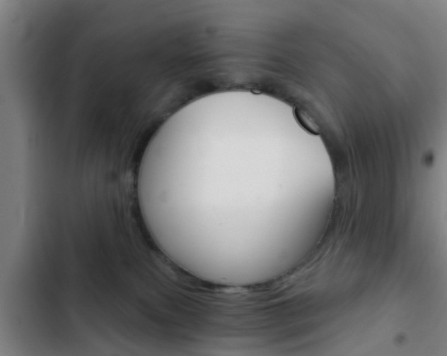 X0000103220087200808280936
