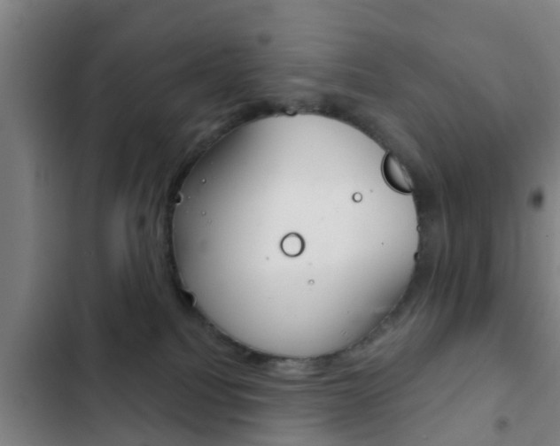 X0000103220088200808280936