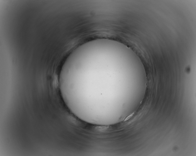 X0000103220089200808280936