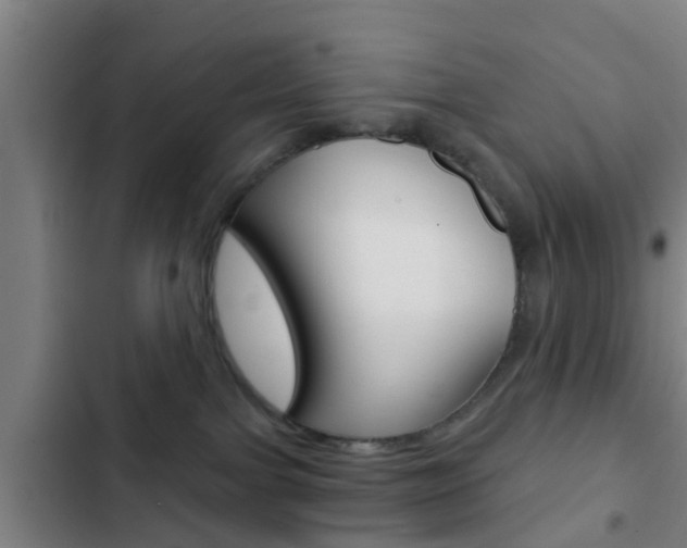 X0000103220091200808280936