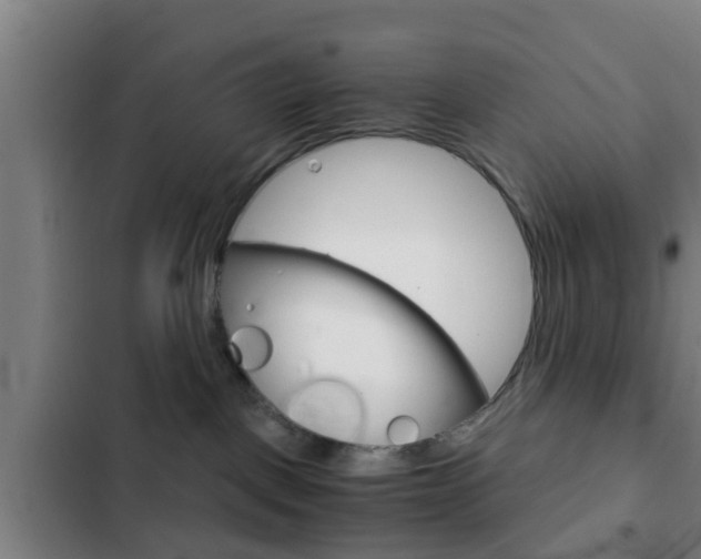 X0000103220093200808280936