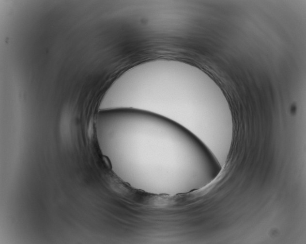 X0000103220094200808280936