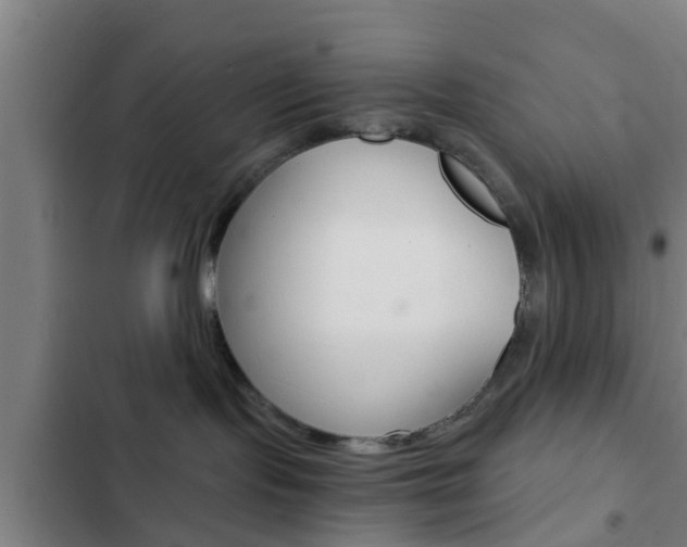 X0000103220095200808280936