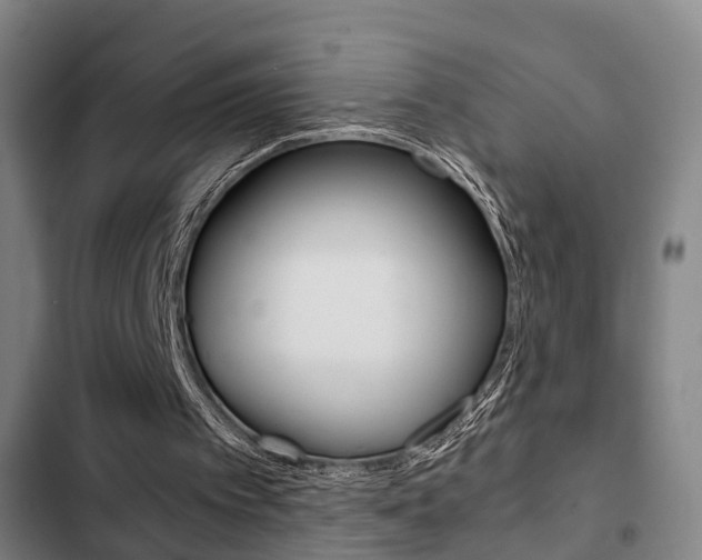X0000103220097200808280935