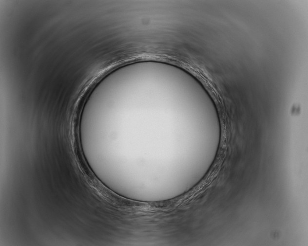 X0000103220098200808280935