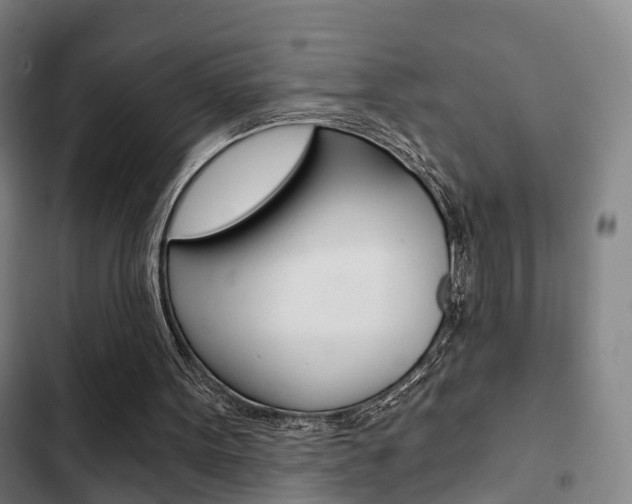 X0000103220099200808280935