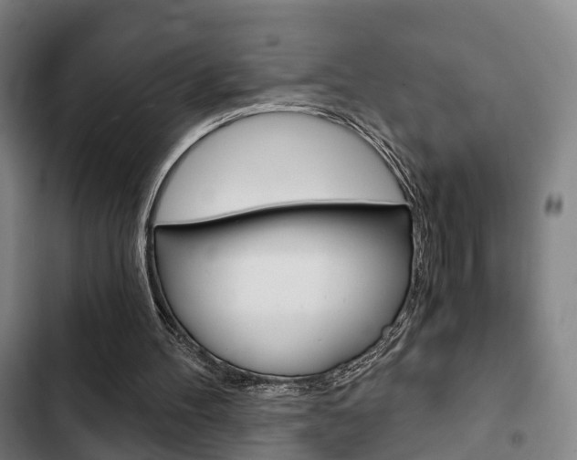 X0000103220100200808280935