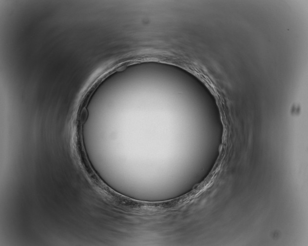 X0000103220101200808280935