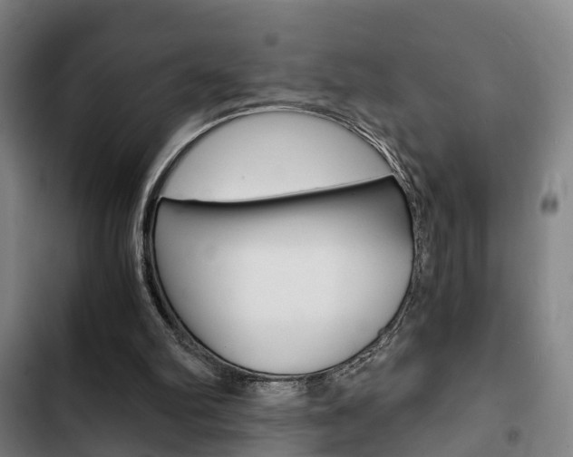 X0000103220102200808280935