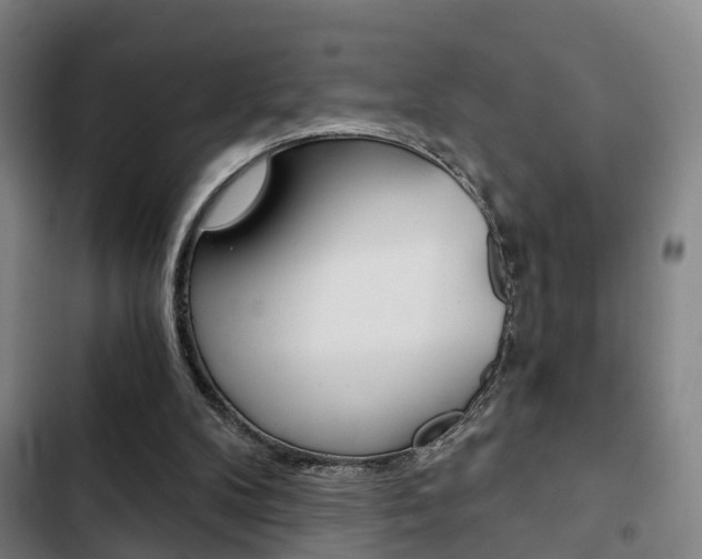 X0000103220104200808280935