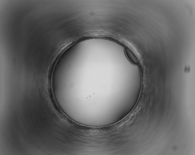 X0000103220105200808280935