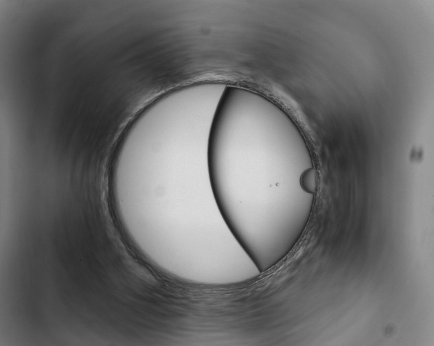 X0000103220106200808280935