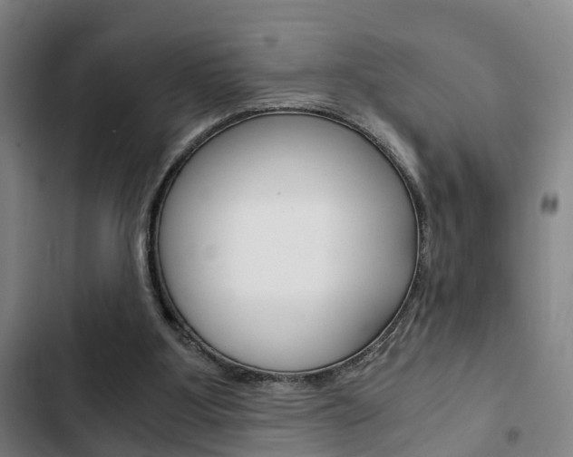 X0000103220107200808280935