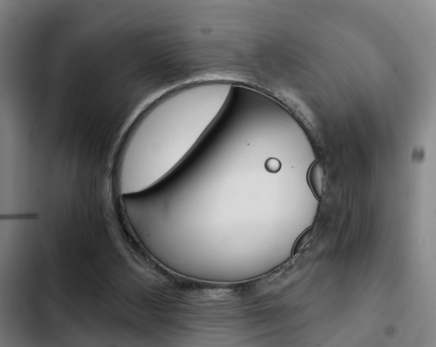 X0000103220108200808280935